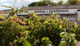 Tragedia en la Ribera del Duero: muere Iván Sanz, CEO de Dehesa de los Canónigos, junto a su mujer y dos hijos en un accidente en Palencia