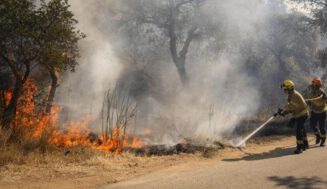 Incendios, calor extremo y vendimia: el viñedo español afronta un verano bajo máxima presión Incendios, calor extremo y vendimia: el viñedo español afronta un verano bajo máxima presión