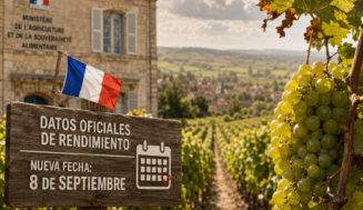 Francia retrasa las previsiones de la vendimia 2026 por el impacto de las canículas en el viñedo
